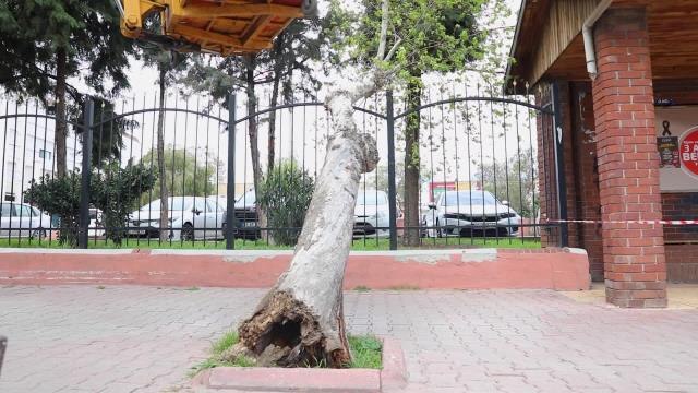 Mersin Büyükşehir Belediyesi Ekipleri, 'Doğu Akdeniz'de Kuvvetli Fırtına' Uyarısına Karşı Sahada