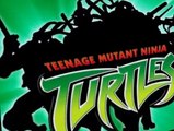 Teenage Mutant Ninja Turtles (2003) S04 E019 Insane In The Membrane