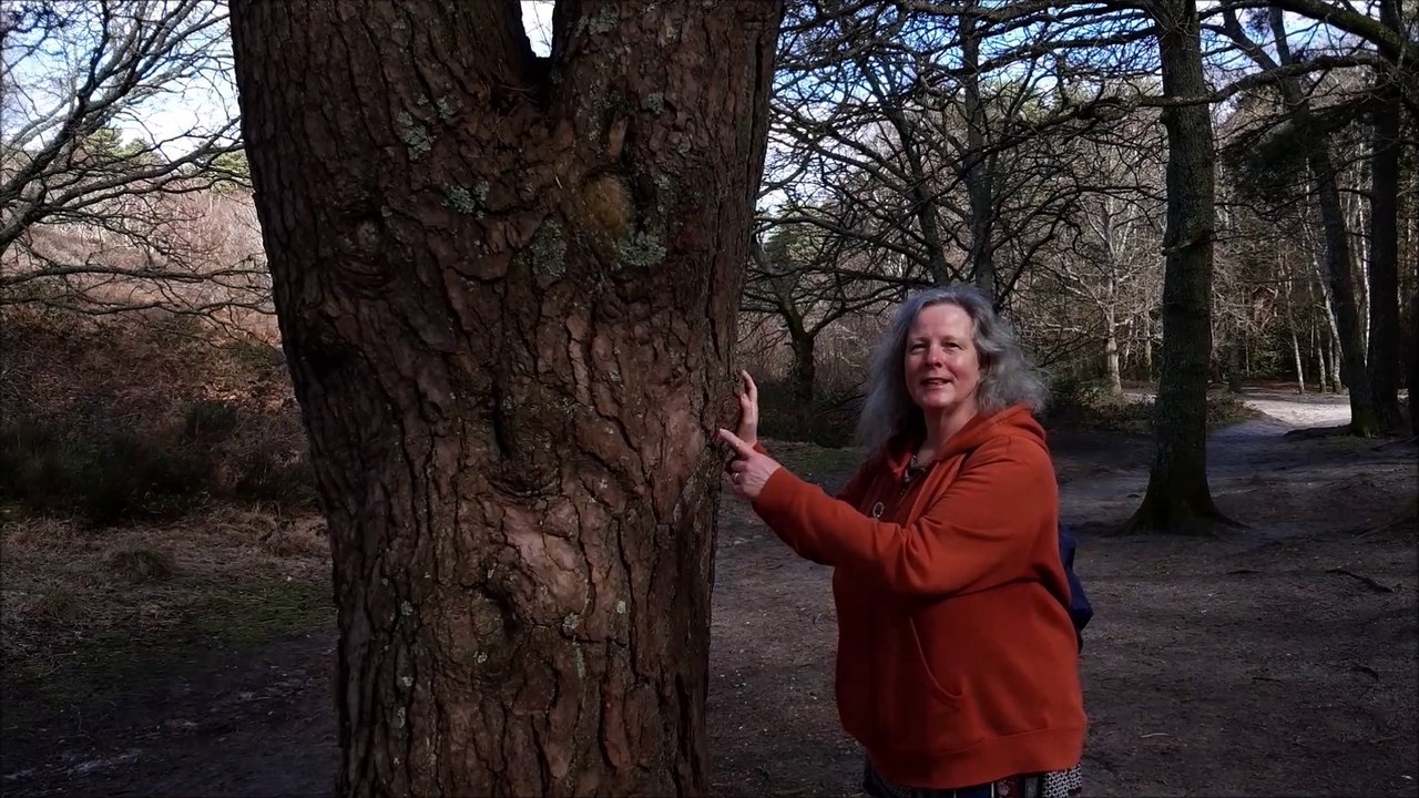 West Sussex walks Elaine Hammond Sullington Warren Storrington River Stor