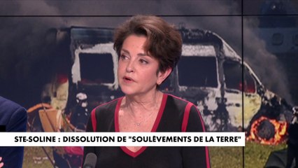 Judith Waintraub : «Soulèvements de la Terre s’est rendu coupable […] de plusieurs actions de sabotage»