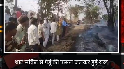 बाँसवाड़ा :शार्ट सर्किट से गेहूं की फसल जलकर हुई राख ,जानिए पूरा घटनाक्रम ...