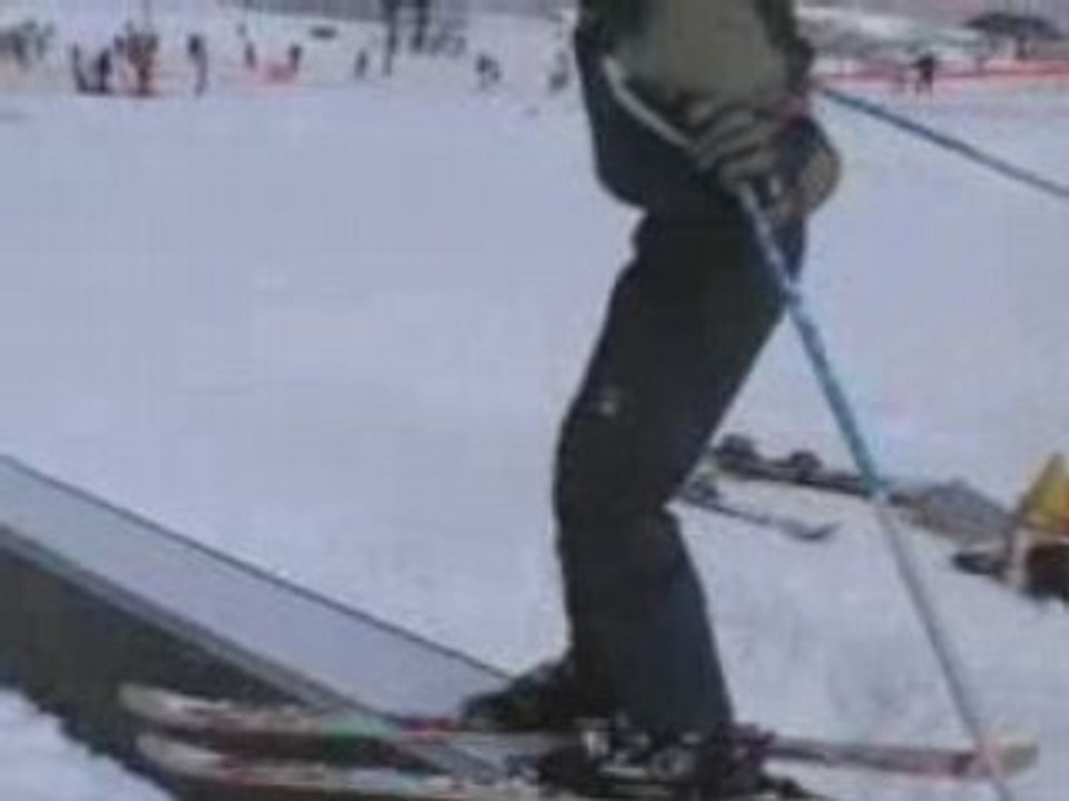 Freestyle 2 Alpes Fév 2008