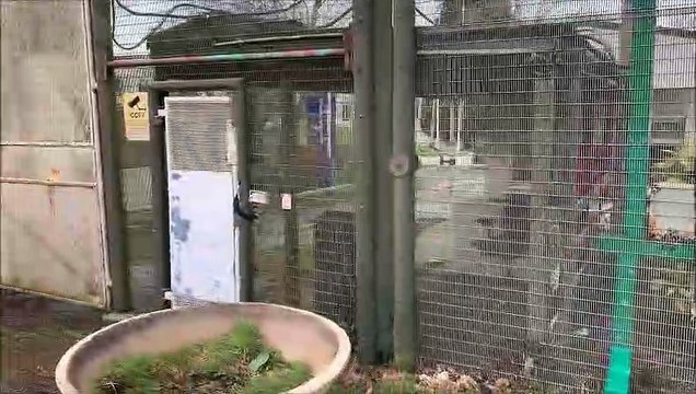 The Northeye site in Bexhill