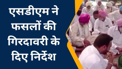 सादुलशहर: एसडीएम ने फसलों की गिरदावरी के दिए निर्देश