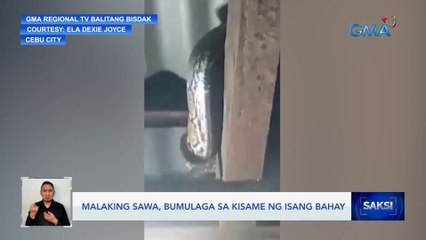 Malaking sawa, bumulaga sa kisame ng isang bahay | Saksi