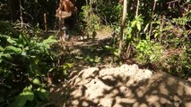 Building The Most Secret Underground Bamboo House By Ancient Skill