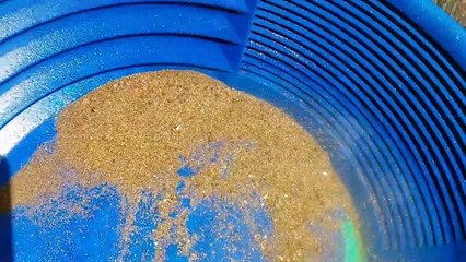 Searching for Gold in the Creek.