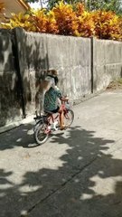 Girl Gives Her Pet Dog a Ride on a Bicycle