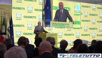 Video News - GOVERNO, NO ALLA CARNE SINTETICA
