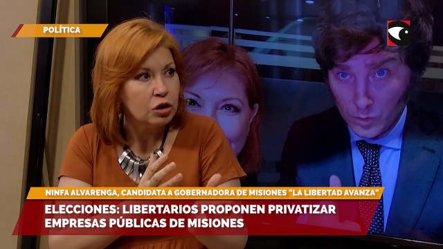 Elecciones libertarios proponen privatizar empresas públicas de Misionesa