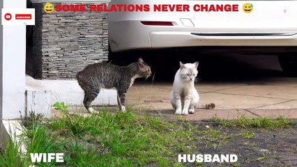 Some Relations never change  Couple funny shorts  Husband & Wife funny video 