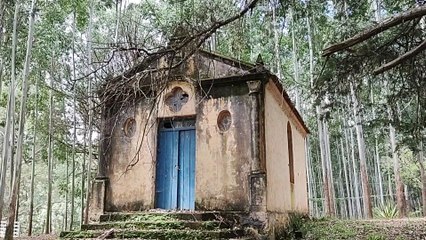 A IGREJA ABANDONADA DA FLORESTA SINISTRA