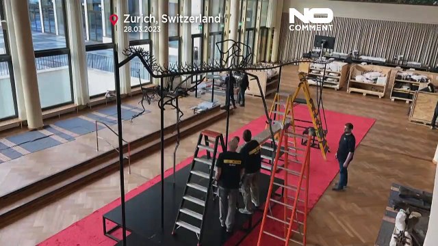 Один из самых больших динозавров, когда-либо ходивших по Земле, посетит Лондон