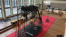 A nova estrela do Museu de História Natural de Londres é um titanossauro