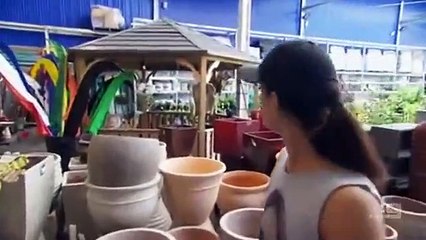 The Block - Se8 - Ep43 HD Watch