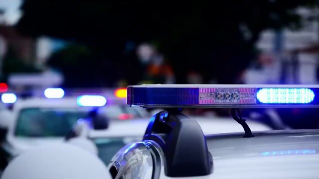 Depraved Mind - The Murder of Marcel Hill / World crime