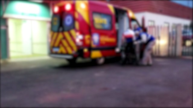 Bombeiros resgatam cachorro que caiu em bueiro no Floresta