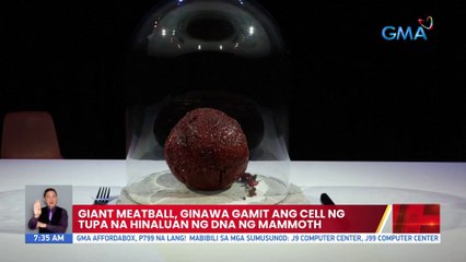 Giant meatball, ginawa gamit ang cell ng tupa na hinaluan ng dna ng mammoth | UB