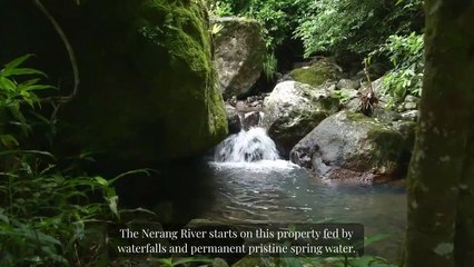 Davies Farm, Natural Bridge, Qld - March 30, 2023 - Farmonline