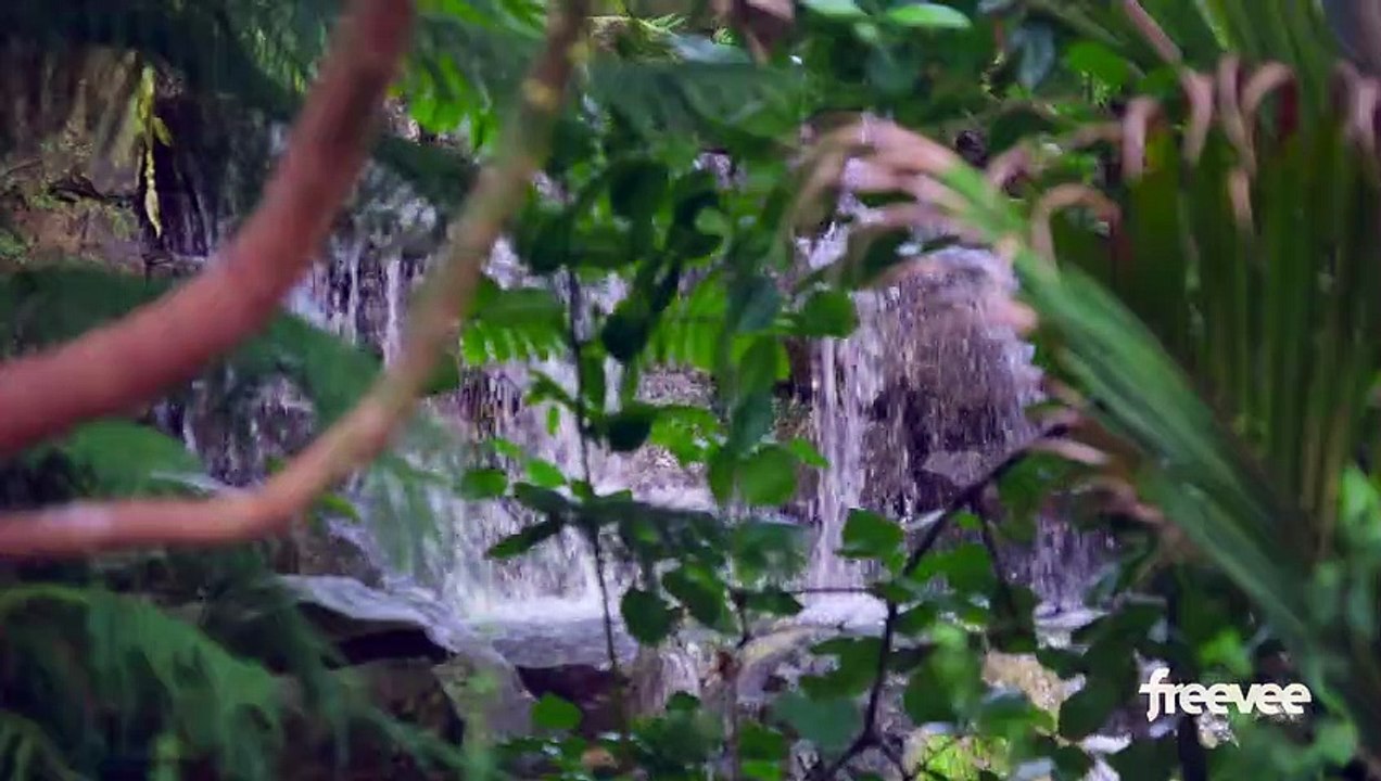 Monumental Ellie Goulding at Kew Gardens movie 2023 Official