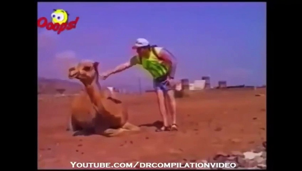 When animal attack human ,rhino, elephant attack funny compilation 2015 (2)