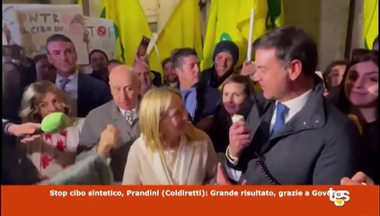 Il Tg Montecitorio edizione del 29 marzo