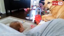 CUTE Pets Animals And Babies Playing Together - Love animal