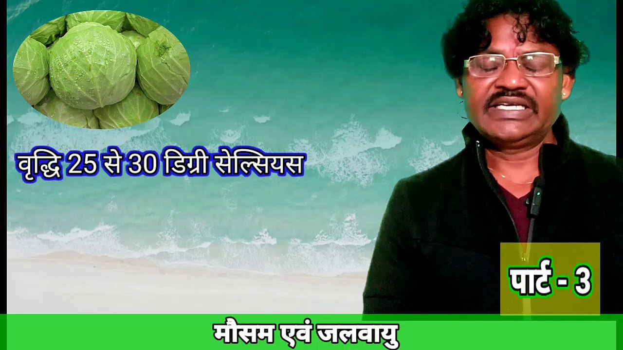 Cabbage cultivation