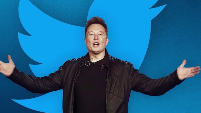 Who Will Win The AI Tech Race? Elon Musk's Based AI vs OpenAI