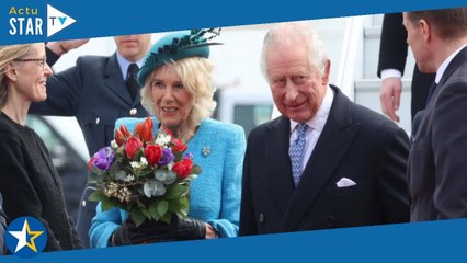 Charles III et Camilla arrivés à Berlin : bain de foule et rafales de vent pour la première visite d