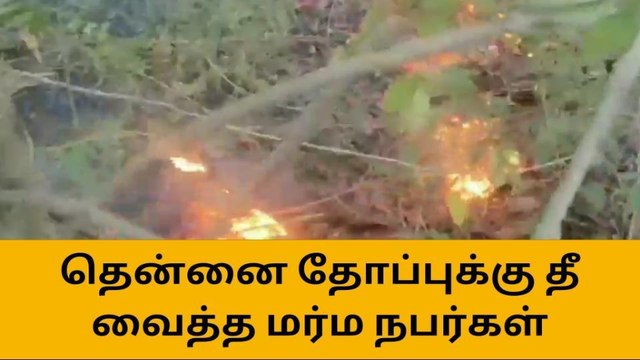 குமரி: முன்விரோதம்! தென்னை தோப்புக்கு தீ வைத்த மர்ம நபர்கள்