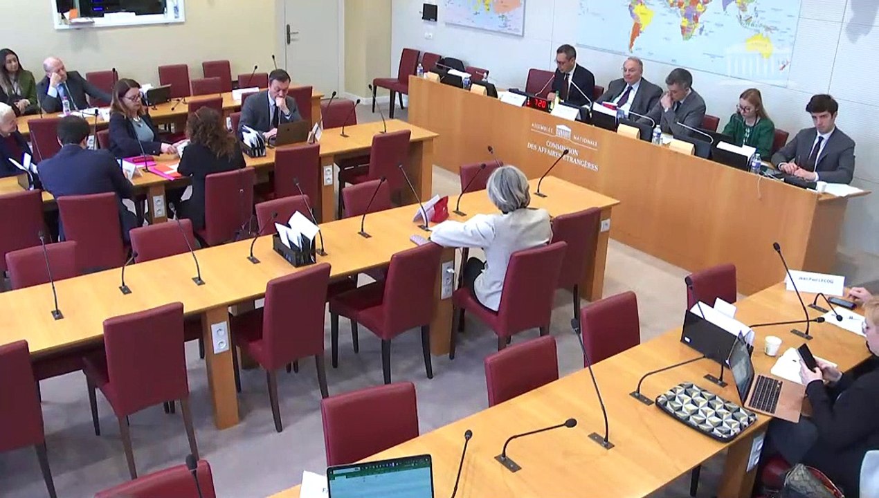 Commission des affaires étrangères : M. Yann Hwang, chargé de mission à la direction des affaires stratégiques, de sécurité et du désarmement du ministère de l’Europe et des affaires étrangères - Mercredi 29 mars 2023