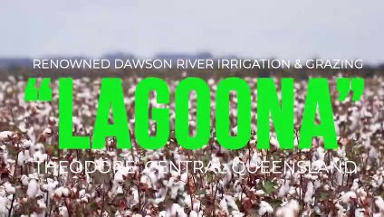 Lagoona, Theodore, Qld - March 30, 2023 - Farmonline
