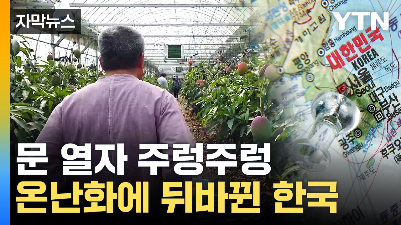 [자막뉴스] 여기 한국 맞아요?...기후 변화로 늘어나는 현상 / YTN