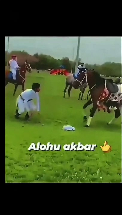 BEST HORSE