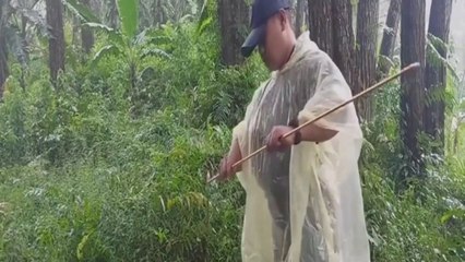 Relax With The Sounds Of Nature In The Tent | Adventure Club