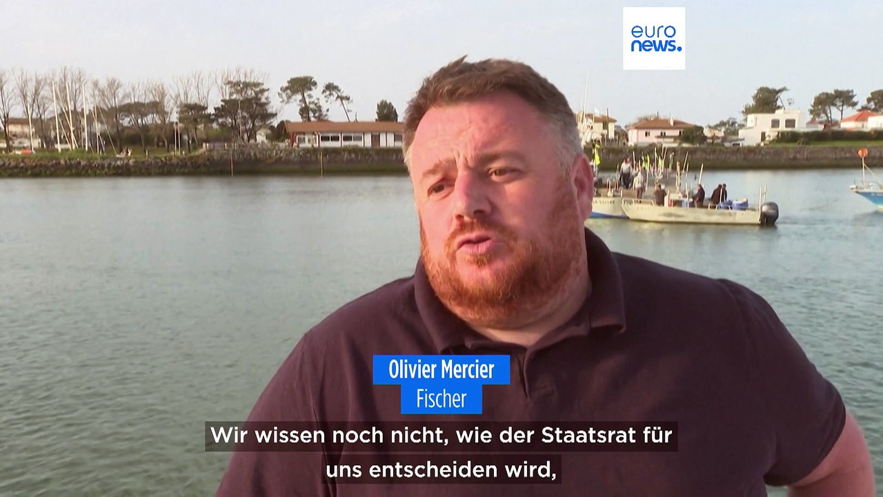 Fischen verboten: Frankreich will Delfine schützen, Fischer bangen um Existenz