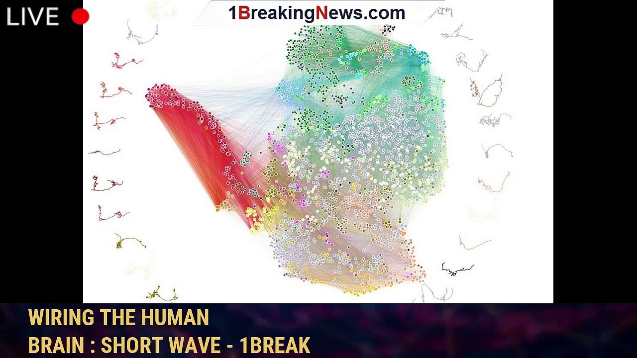 Connectome of the larval fruit fly could shed light on wiring the human video Dailymotion