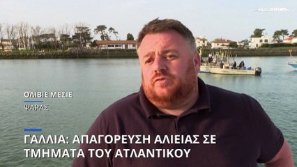 Γαλλία: Μερική απαγόρευση ψαρέματος για την προστασία των δελφινιών