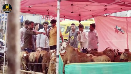 Kaam Wali | Episode 9 | 2023 Eid Special Videos | Hyderabadi Best Comedy Videos | Golden Hyderabadiz