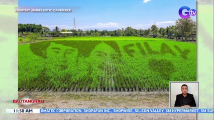 Team Filay, tampok sa rice paddy art sa Nueva Ecija | BT