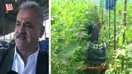 Havaların ısınmasıyla meyve ve sebze fiyatlarında düşüş yaşandı