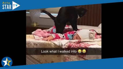 Moment de tendresse : découvrez le comportement de ce chat avec un bébé