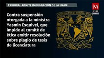 Tribunal admite impugnación de UNAM contra suspensión por supuesto plagio de ministra Yasmín Esquivel