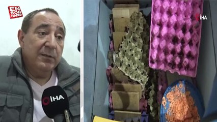 Antalya’da girişimci 10 metrekare alanda 10 bin hamam böceği üretiyor