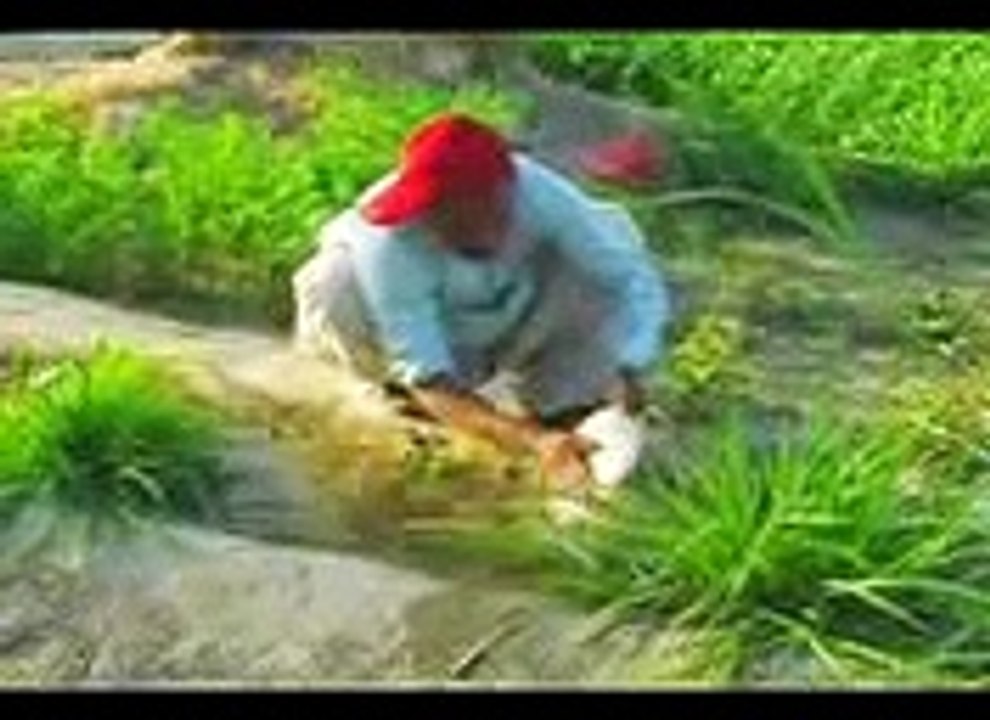Zind Balochi Film 2011
