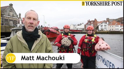 installation of artificial habitats at Whitby Harbour