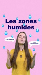 Les zones humides, pourquoi c'est si important ?