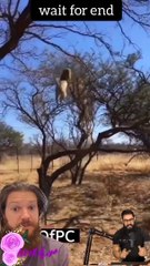 Tranding  Tranding Videos Today  Tranding Shorts #tranding #trandingshorts #shorts #viral 30-3-23 (3)