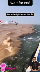 Tranding  Tranding Videos Today  Tranding Shorts #tranding #trandingshorts #shorts #viral 30-3-23 (4)